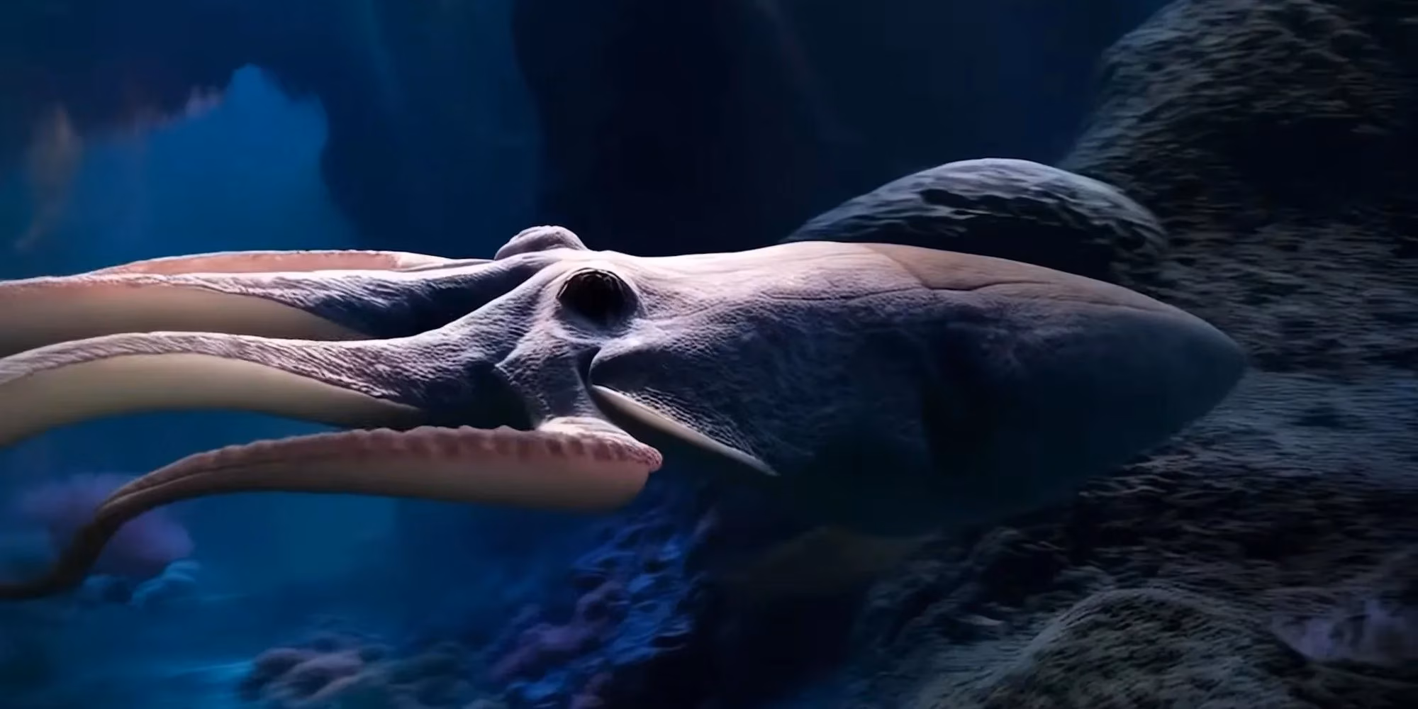 ark-2-development-update-emerges-from-ai-generated-controversy-surrounding-aquatica-expansion-image-1